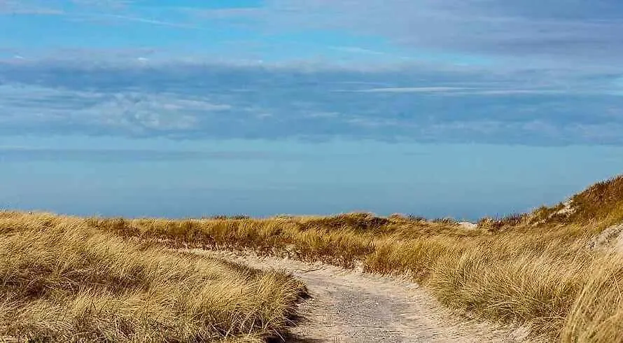Unique Holiday Apartment With A View In Skagen